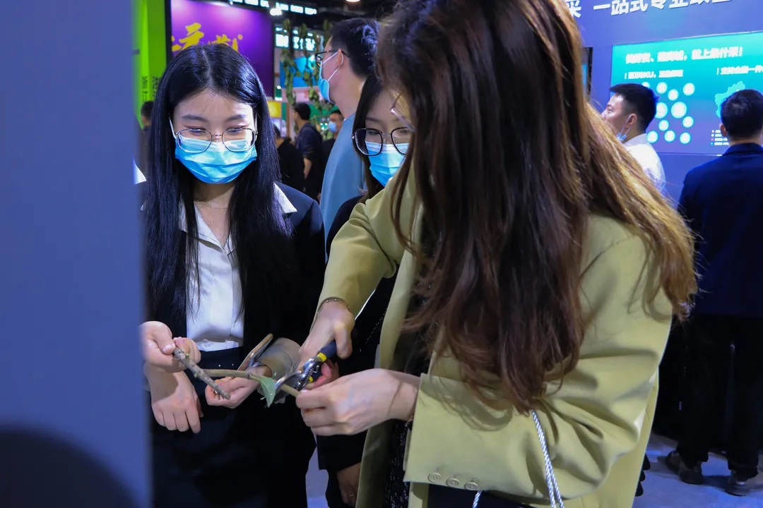 1635385228189132LYfn.jpg 13.jpg